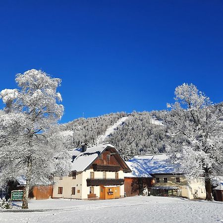 ファイステナウ Ferienhaus Laimerbauerヴィラ エクステリア 写真