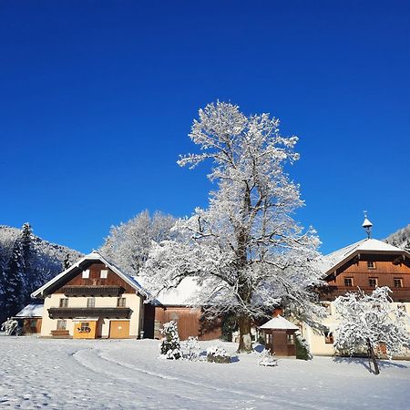 ファイステナウ Ferienhaus Laimerbauerヴィラ エクステリア 写真