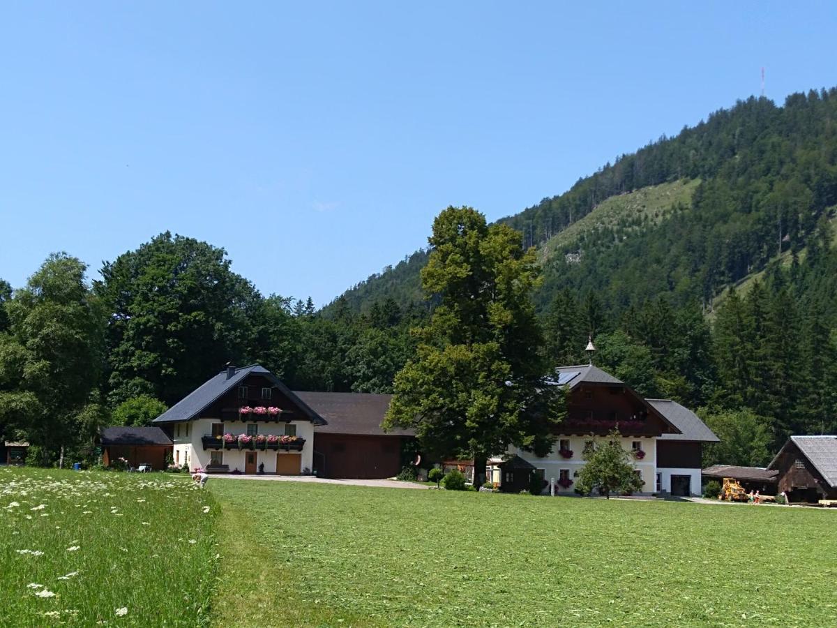 Ferienhaus Laimerbauer ファイステナウ エクステリア 写真