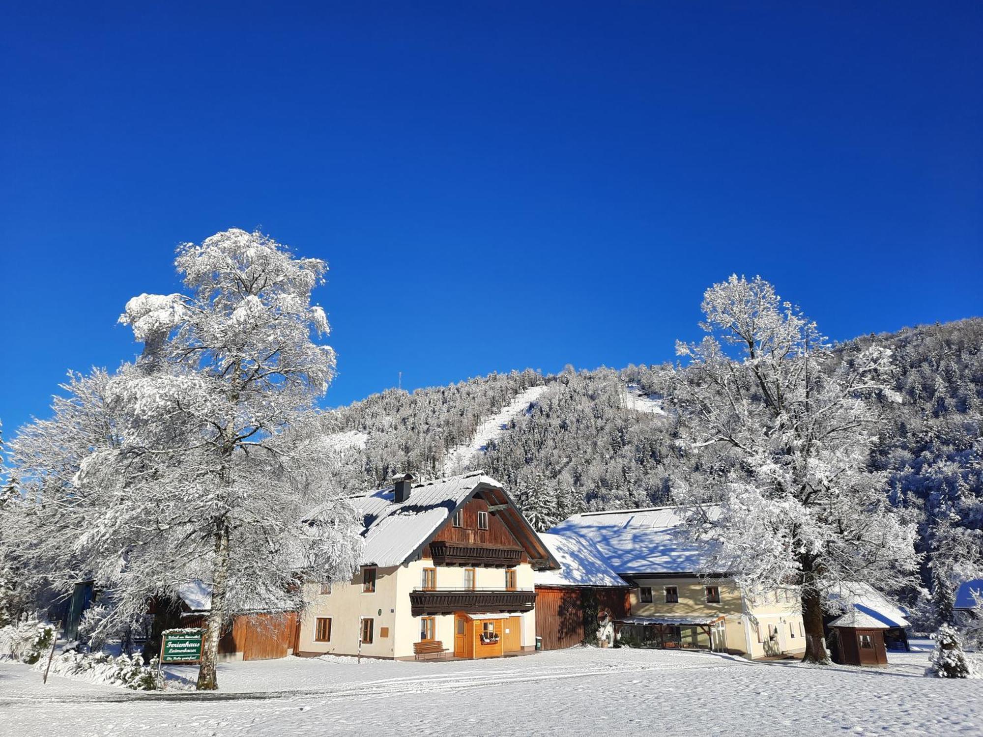 ファイステナウ Ferienhaus Laimerbauerヴィラ エクステリア 写真