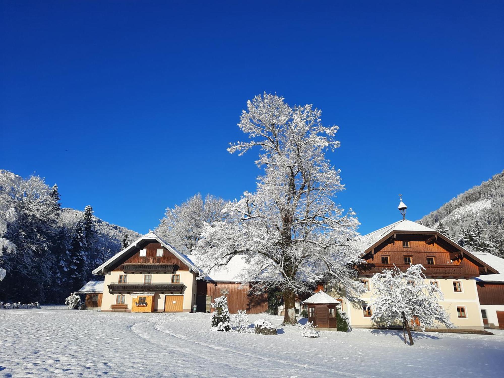 ファイステナウ Ferienhaus Laimerbauerヴィラ エクステリア 写真