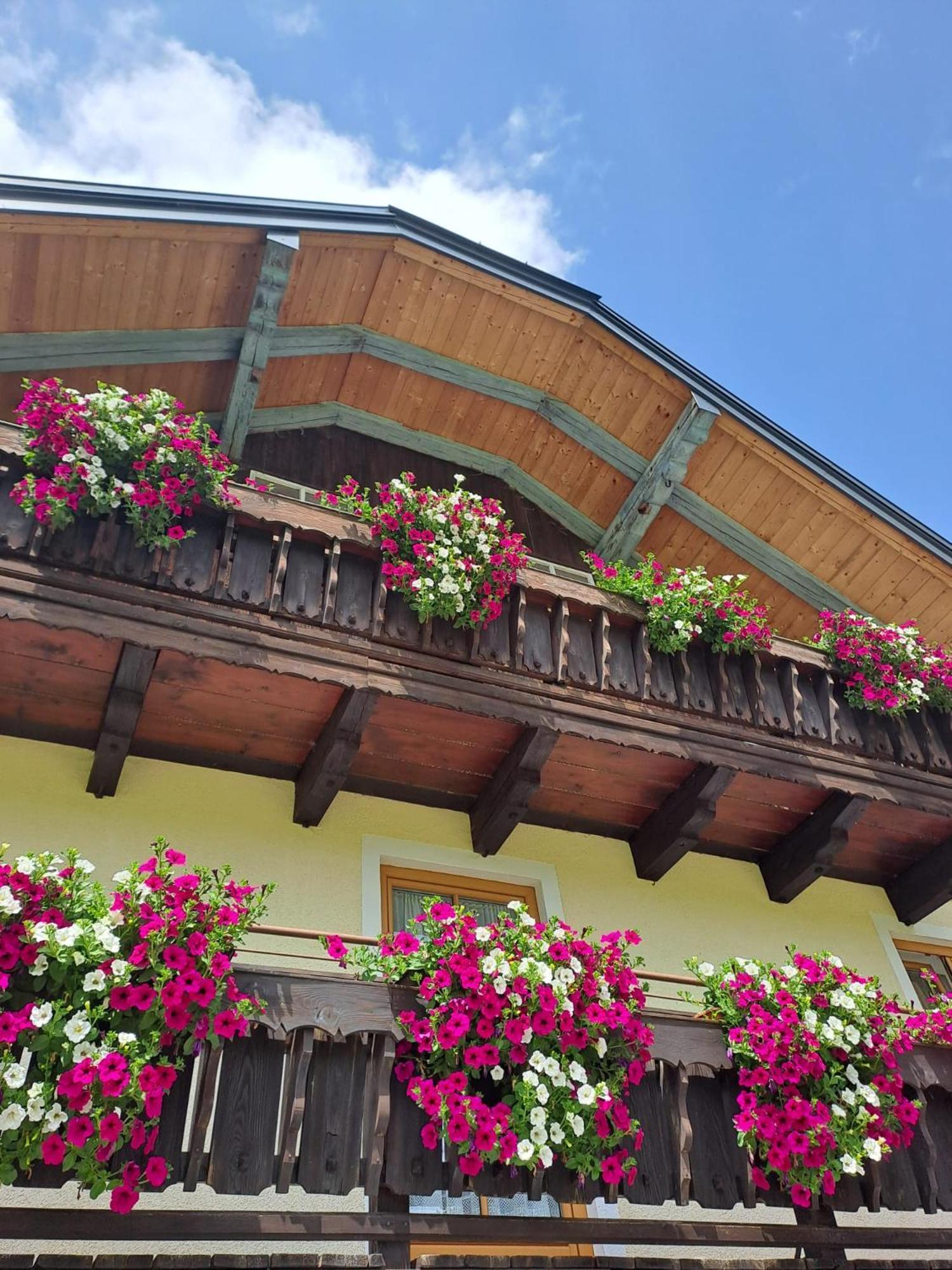 Ferienhaus Laimerbauer ファイステナウ エクステリア 写真